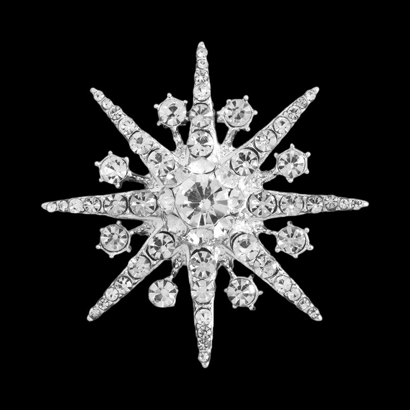 The Jardine Star Brooch, Royal Jewels, Crown Jewels 